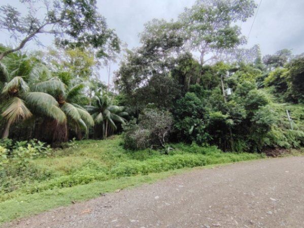 PROPIEDAD DE 3,520 M² EN VENTA – NATURALEZA, FAUNA Y SERVICIOS DISPONIBLES en Savegre, Quepos, Puntarenas — $116,160