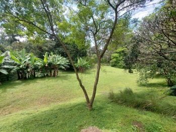 Se vende moderna propiedad de 5000m2 en San Antonio de Belén 26-673 en San Antonio, Belén, Heredia — $860,000 - Foto 4 de 22