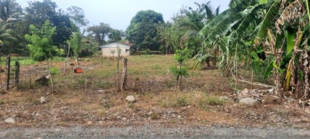 🌿 ¡Lote en San Isidro de Peñas Blancas, San Ramón! en Peñas Blancas, San Ramón, Alajuela — $26,000