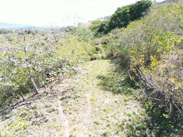 Venta de lote en Ciudad Colón vistas panorámicas en Colón, Mora, San José — ₡ 65 000 000 - Foto 3 de 12