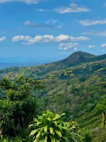 Beautiful Farm for Sale – Llano Brenes, San Ramón in San Rafael, San Ramón, Alajuela — $354,000 - Photo 3 of 29