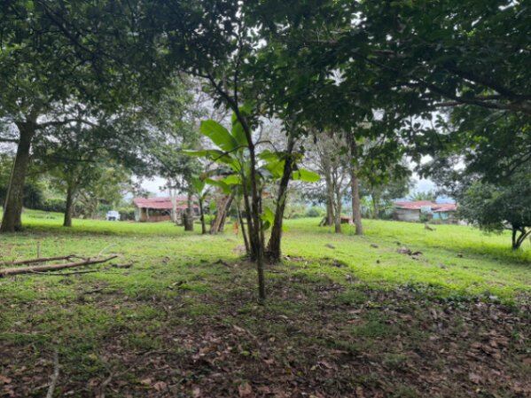 POTENCIAL FINCA EN JESÚS, BARROETA, ATENAS.  en Jesús, Atenas, Alajuela — ₡ 95 000 000