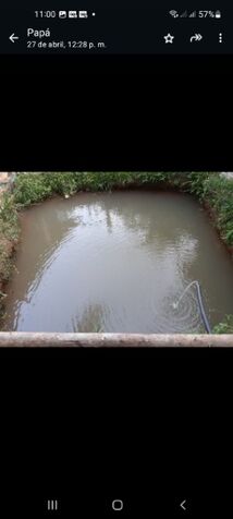 Quinta en venta con 4 cabañas y árboles frutales agua propia en San Pedro, Pérez Zeledón, San José — ₡ 95 000 000