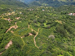 Finca en venta en San Ramón con vista al océano | 28.100 m² Magallanes in Santiago, San Ramón, Alajuela — 182 650 000 ₡ - Photo 5 of 12