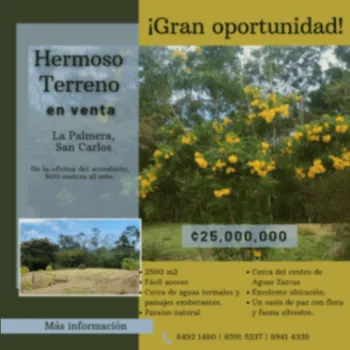 En VENTA: Hermoso terreno en La Palmera de Ciudad Quesada.