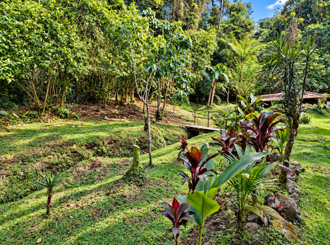 VENTA / Impresionante Finca en Guápiles, Pococí, Limón en Guápiles, Pococí, Limón — $210,000 - Foto 3 de 33