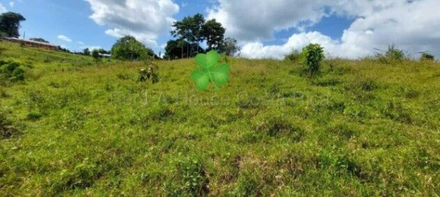 MLS-26-1955 KQ VENTA FINCA RIO CUARTO GRECIA CONTACTENOS AL # 88987222 en Grecia, Alajuela — $1,050,000