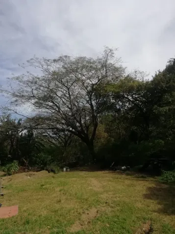 Lote en Santa Ana para Desarrollador en Pozos, Santa Ana, San José — $1,614,080