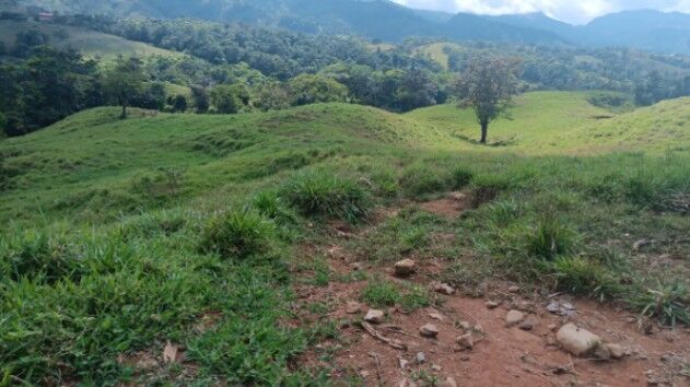 Finca en venta en La Unión de Limoncito-Coto Brus-Puntarenas - C.R. in Limoncito, Coto Brus, Puntarenas — ₡ 75 000 000