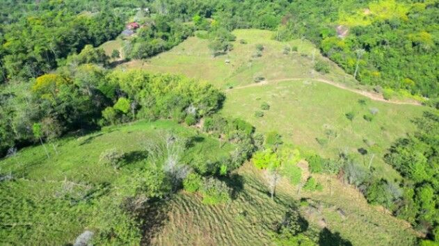  LAND FOR SALE IN SAN IGNACIO, WITH VIEWS AND CREEK  in Cajón, Pérez Zeledón, San José — $425,000