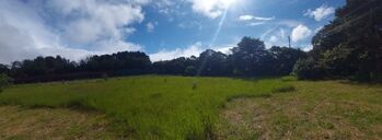 Terreno amplio, Concepcion de San Rafael de Heredia 4,452 mtrs2 en Concepción, San Rafael, Heredia — $250,000 - Foto 4 de 7