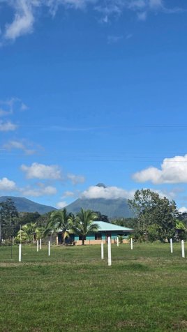 LOTE CON VISTA AL VOLCÁN 884M2 A 8KM DE LA FORTUNA in La Fortuna, San Carlos, Alajuela — ₡ 40 000 000