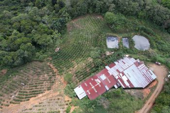 200 Degrees Mountain View Coffee and  Poultry Production Farm in San Pedro, Pérez Zeledón, San José — $265,000 - Photo 4 of 29