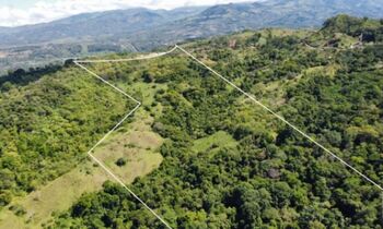 BEAUTIFUL LAND FOR SALE IN GENERAL VIEJO (25 HECTARES) in El General, Pérez Zeledón, San José — $450,000 - Photo 5 of 10