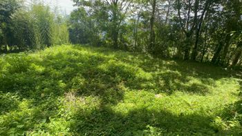 Terreno en Venta en Tarbaca un Entorno Natural y Tranquilo in Tarbaca, Aserrí, San José — $126,270 - Photo 3 of 13