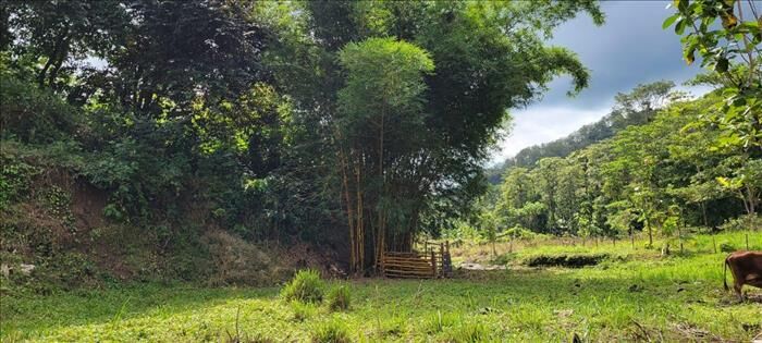 Lote en Parrita  in Parrita, Puntarenas — ₡ 65 000 000