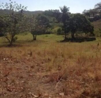 Land For Sale Tempate, Santa Cruz, Guanacaste