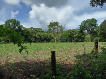 Venta de Lote en Nicoya-San Antonio. RAH 25-1377 en San Antonio, Nicoya, Guanacaste — 30 000 000 ₡ - Foto 5 de 11