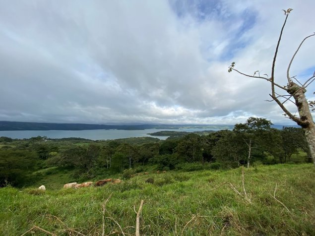 Se vende terreno para desarrollar al lado del Volcán Arenal (AD) en Tronadora, Tilarán, Guanacaste — $450,000 - Foto 3 de 20