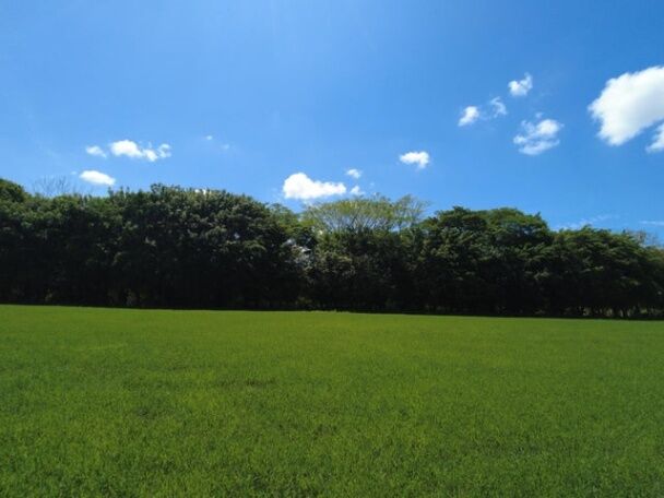 Venta de Lote en Garabito, Puntarenas.  in Jacó, Garabito, Puntarenas — ₡ 80 000 000