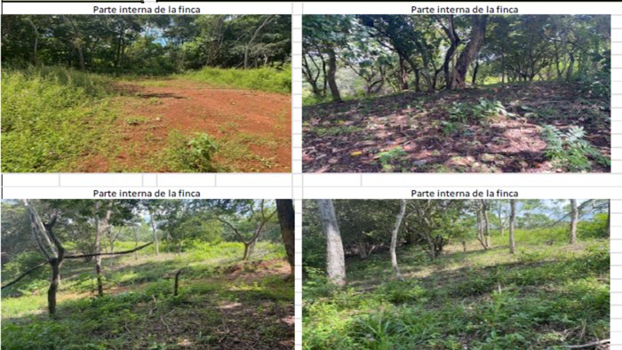 Propiedad En Venta - Quinta Esencia, Esparza in Espíritu Santo, Esparza, Puntarenas — $109,555 - Photo 3 of 6