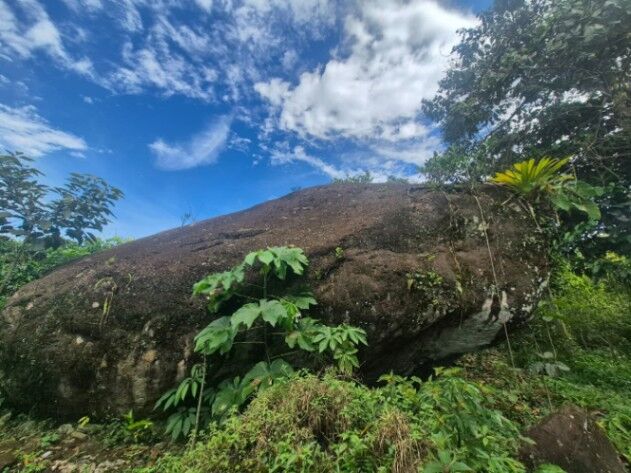 Finca Cafetalera de 2.3 Hectáreas con Manantial, Quebrada y Vistas en Santa Elena, Pérez Zeledón in San Isidro De El General, Pérez Zeledón, San José — $350,000