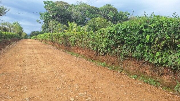 VENTA DE LOTE PLANO LISTO PARA CONSTRUIR EN PEÑAS BLANCAS in Daniel Flores, Pérez Zeledón, San José — $41,600