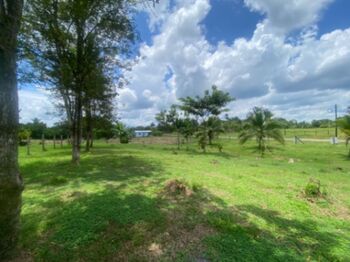 Farm For Sale La Virgen, Sarapiquí, Heredia