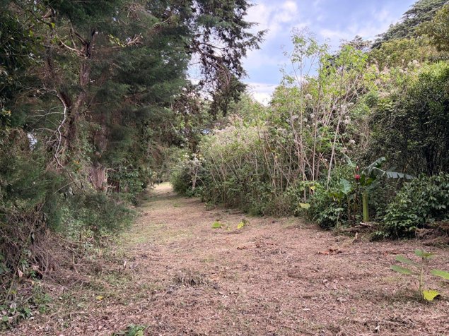Venta de terreno de 22.480 m² con río y vistas panorámicas en Heredia #26-1838 GS en Concepción, San Isidro, Heredia — $1,850,000 - Foto 3 de 6