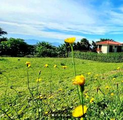 Beautiful Lot in Condominio el Roble in Grecia