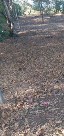 El encuentro con la naturaleza... El Rodeo. en Colón, Mora, San José — $184,000
