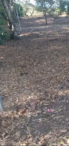 El encuentro con la naturaleza... El Rodeo. en Colón, Mora, San José — $184,000