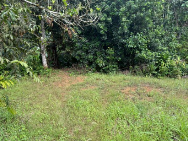 ¡VENTA DE LOTE EN PÉREZ ZELEDÓN! in San Isidro De El General, Pérez Zeledón, San José — ₡ 18 000 000