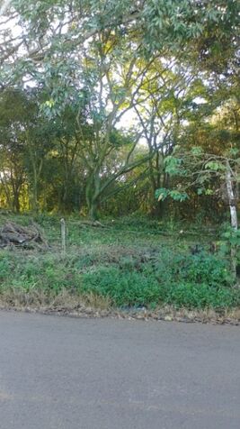 SE VENDEN 2 BELLOS LOTES EN DERECHO EN ALAJUELA.  en Alajuela — ₡ 20 000 000