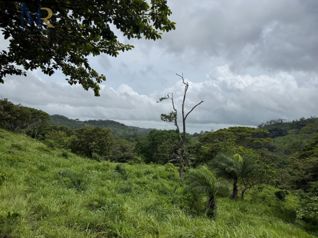 Finca de 85.9 Hectáreas con Río  Oportunidad de Inversión Agropecuaria en La Garita, La Cruz, Guanacaste — 429 650 000 ₡ - Foto 5 de 17