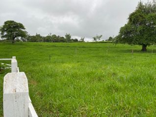 finca en sarapiqui in La Virgen, Sarapiquí, Heredia — 155 000 000 ₡ - Photo 3 of 11