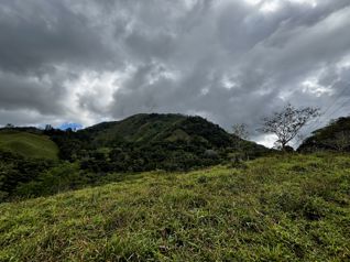 Venta de Finca de 7.1 Ha en Mercedes Sur, Puriscal in Mercedes Sur, Puriscal, San José — 45 000 000 ₡ - Photo 3 of 19