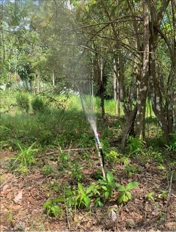 Vendo linda propiedad in Jacó, Garabito, Puntarenas — ₡ 40 000 000