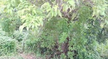 SE VENDE BELLÍSIMO LOTE EN FLAMINGO, GUANACASTE.  en Cabo Velas, Santa Cruz, Guanacaste — $100,000 - Foto 4 de 8