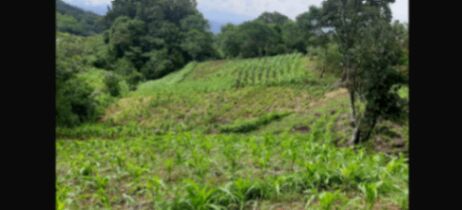 Lotes en Venta en Llano Grande de Mora, Puriscal in Picagres, Mora, San José — ₡ 60 000 000