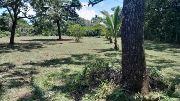 MLS-26-1028 LS VENTA FINCA OROTINA ALAJUELA  en Orotina, Alajuela — ₡ 80 000 000