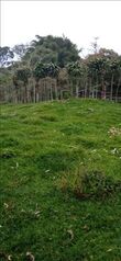 Land For Sale Santa Rosa, Turrialba, Cartago