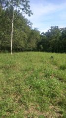 Propiedad de 5,000 m2 en Platanar de SanCarlos en La Fortuna, San Carlos, Alajuela — $100,000 - Foto 4 de 4