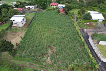 Flat Lot with Income-Generating 2-Bedroom Home in San Roque de Grecia en Grecia, Alajuela — 120 000 000 ₡ - Foto 4 de 11