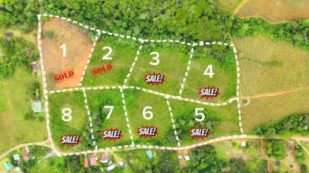 LOTES EN VENTA/ LOTS FOR SALE IN QUIZARRA in Cajón, Pérez Zeledón, San José — $70,000