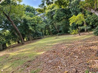 Venta de Lote en Lagunillas, Puntarenas. RAH 27-1002 OPORTUNIDAD DE INVERSIÓN en Biolley, Buenos Aires, Puntarenas — 95 000 000 ₡ - Foto 4 de 8