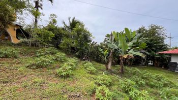 SE VENDE PROPIEDAD MIXTA COMERCIAL Y RESIDENCIAL SOBRE INTERAMERICANA en Cajón, Pérez Zeledón, San José — $190,000 - Foto 5 de 32