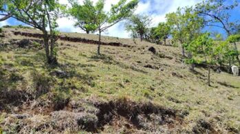 Venta terreno 26.9 ha ideal inversión agro o turística alta proyección #26-1770 GS in Piedades Sur, San Ramón, Alajuela — $1,200,000 - Photo 4 of 10