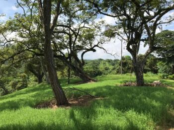Venta de Lote en Orotina de Alajuela. RAH 26-867 in Orotina, Alajuela — $95,000 - Photo 5 of 5