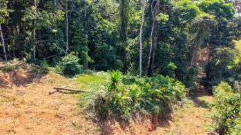 VENTA DE TERRENO DE 1.8 HECTAREAS EN QUIZARRA LISTO PARA CONSTRUIR  in El General, Pérez Zeledón, San José — $139,900 - Photo 5 of 15